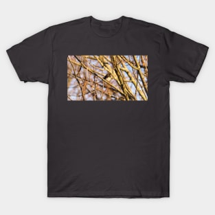 Dark-eyed Junco Perched In a Tree T-Shirt